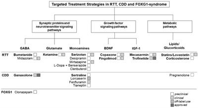 Drug repurposing in Rett and Rett-like syndromes: a promising yet underrated opportunity?